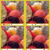 Brunch: 4 Views
